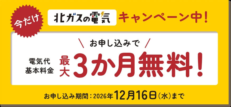 北ガスの電気のキャンペーン（公式サイトの画面）